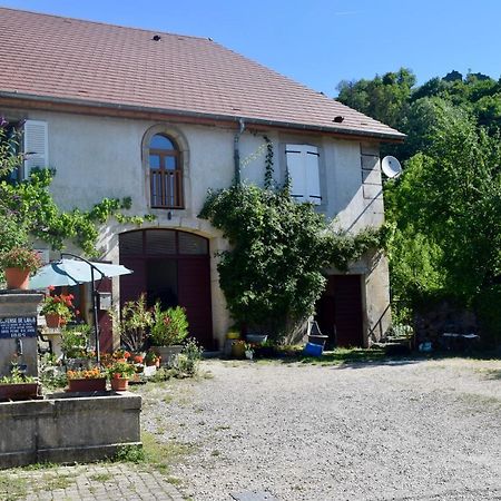 Spacious Apartment In Old Farm Close To Lac De Vouglans La Tour-du-Meix Экстерьер фото